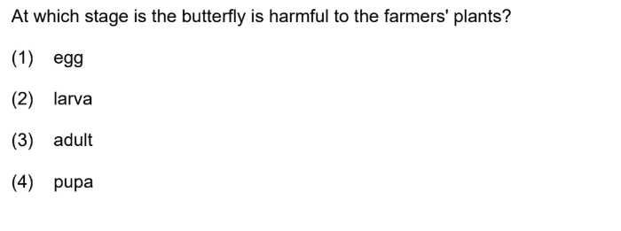 butterfly life cycle which stage harms farmers plants explained