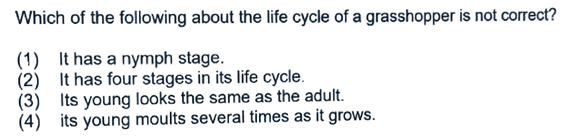 grasshopper life cycle P6 Science question explained with option 2 as the incorrect statement