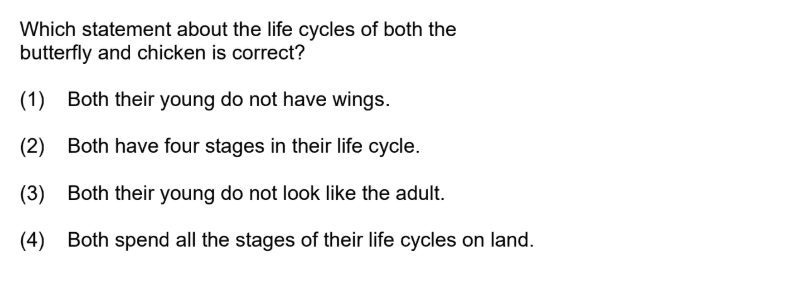 life cycles comparison butterfly and chicken all stages on land explained