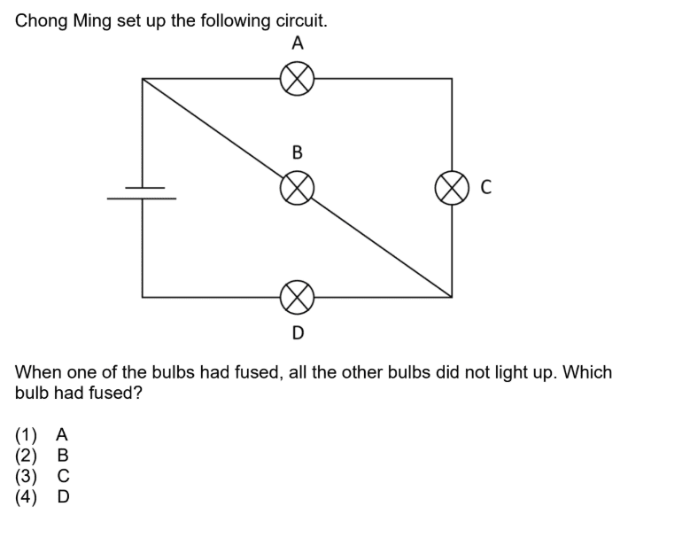 series circuit fault which bulb fused D explained Primary 5