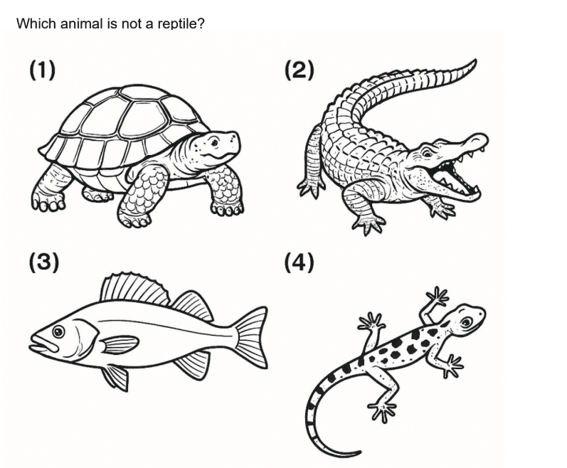 animal not reptile P4 Science question explained with fish as the correct answer