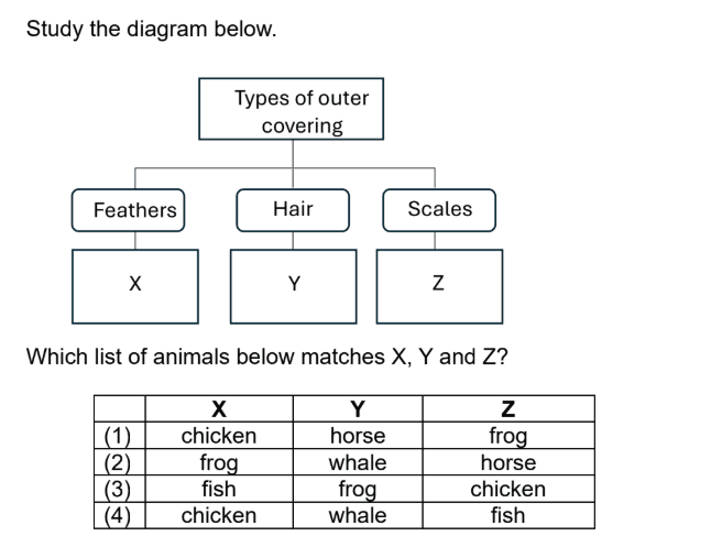 animal outer covering P3 Science question explained with option 4 as the correct answer