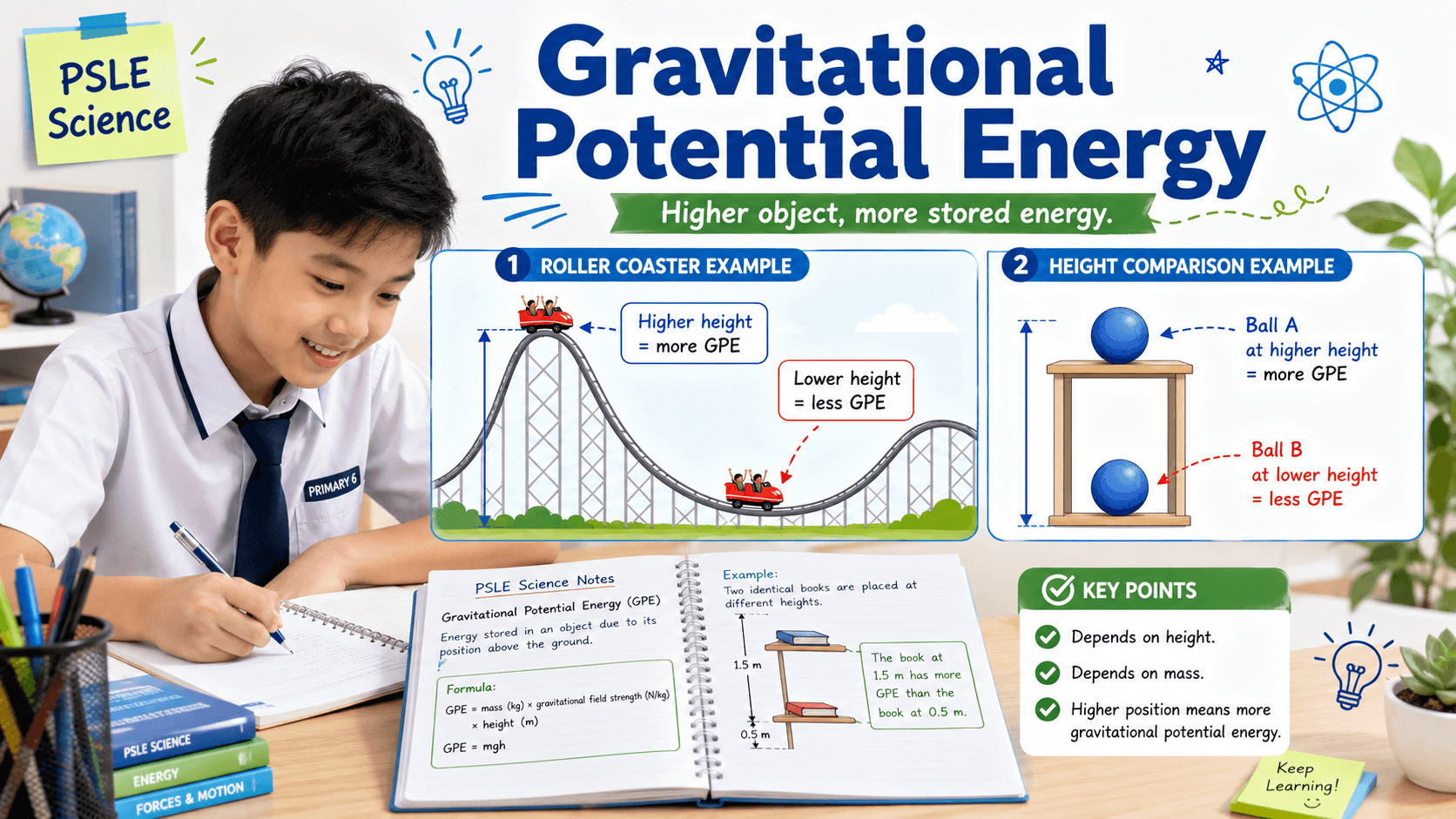 gravitational potential energy PSLE Science explanation with roller coaster and height example