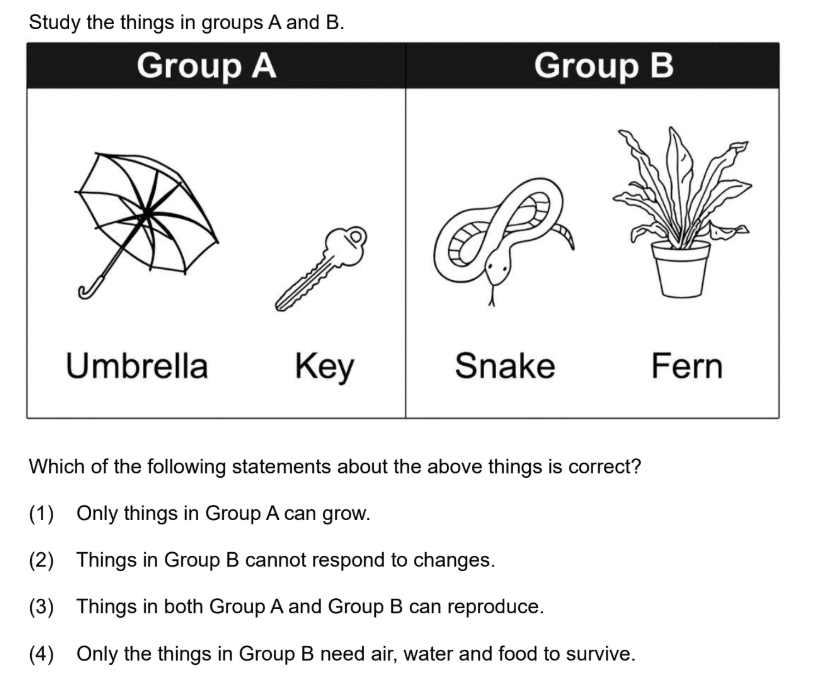living things P3 Science grouping question with snake and fern